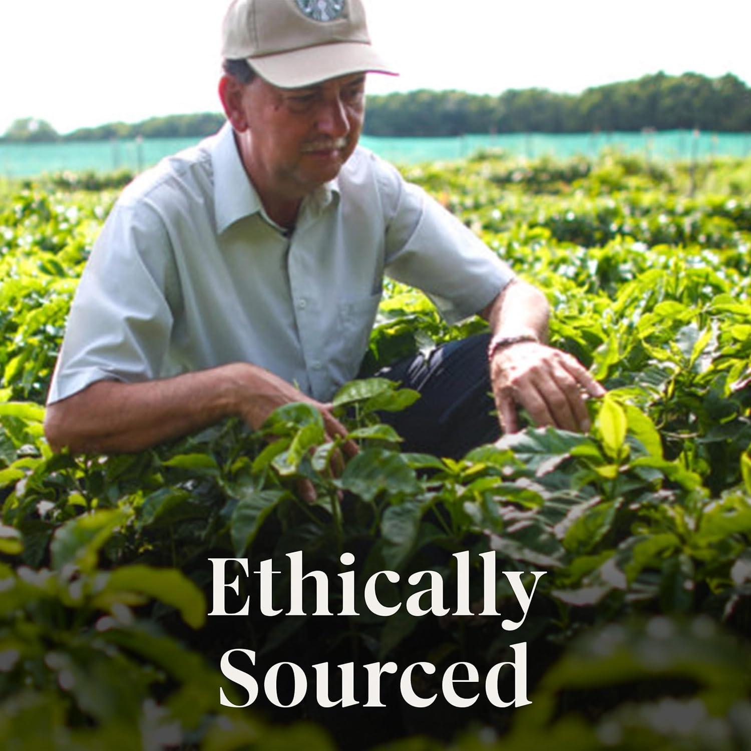 imageStarbucks KCup Coffee Pods Medium Roast Starbucks Holiday Blend Coffee for Keurig Brewers 100 Arabica 1 Box 22 PodsBrown Sugar Cinnamon